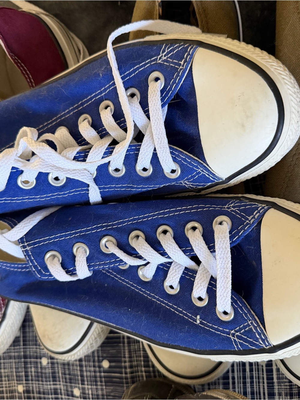 Classic lo-Top Canvas Sneakers in Royal Blue with White Laces - Picture 5 of 6